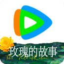 丝袜女王脚交